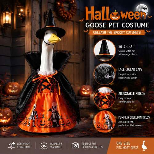 Witch Goose Porch Decor Costume, Halloween Pumpkin Outdoor