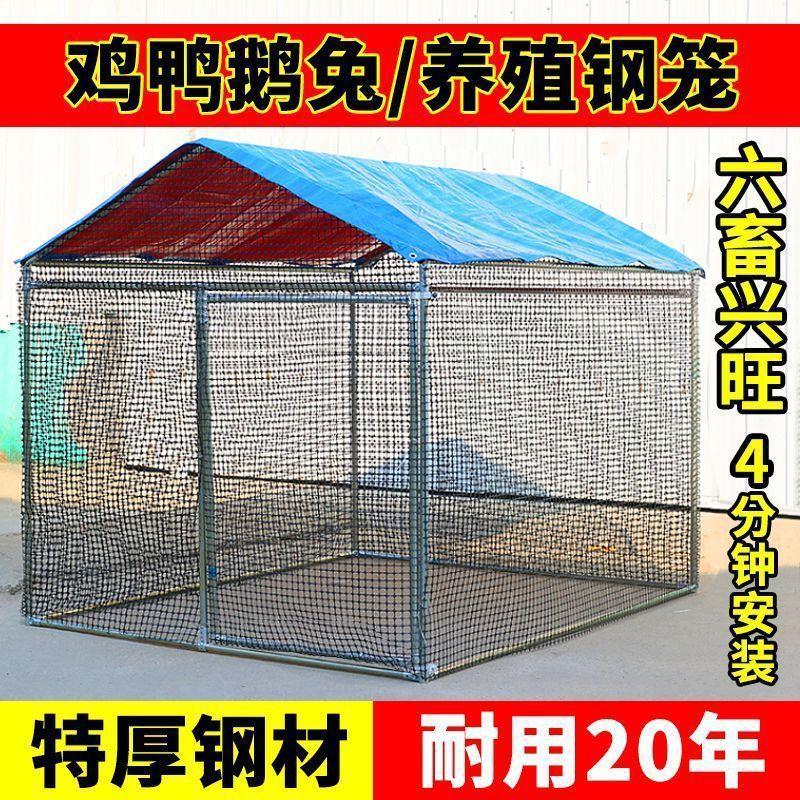 户外养殖鸡养鸡特禽大号家孔鸡雀KYJ笼鸽笼棚防雨多功能户外养殖