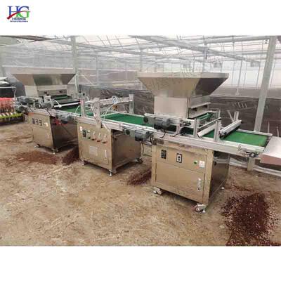 Automatic hole tray seedling raising machine全自动穴盘育苗机