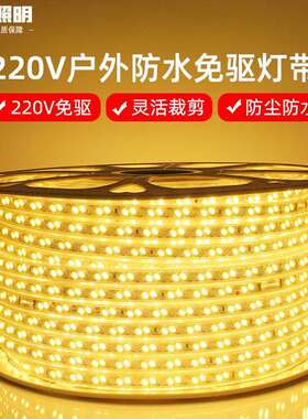 双排高亮室外led灯带户外防水5730灯条220V暖白光白富美led软灯带