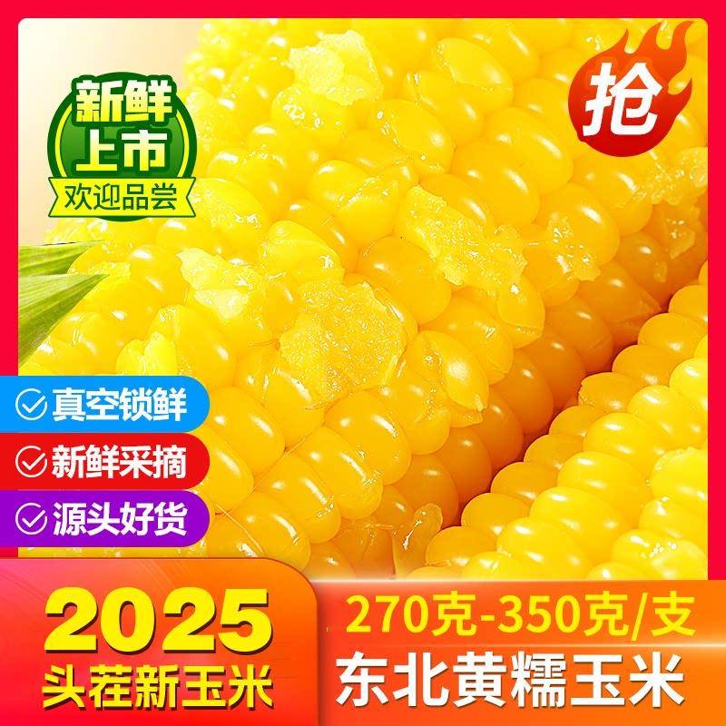 2025黑龙江头茬糯玉米软糯鲜香带点Q弹十足玉米味不甜奥利施玉米