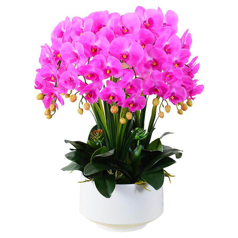 高品质蝴蝶兰仿真花艺摆件假花盆栽客厅电视柜高档塑料花装饰摆设