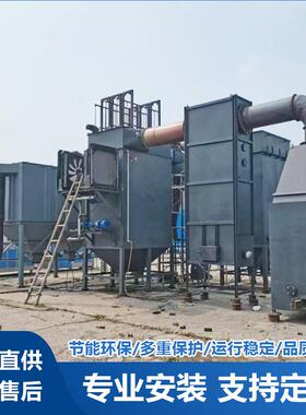 济宁宠物殡葬焚烧炉养殖场猪鸡病死无害化处理设备社区垃圾火化炉