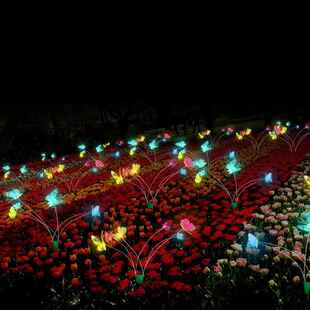 L萤见描述ed发虫光火灯户外地插灯蝴蝶圆球草装坪饰灯芦苇花园景