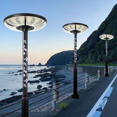 新款太阳能路灯杆户外防水镂空路灯杆七彩景观灯灯杆支臂支架