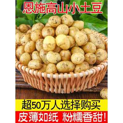 恩施小土豆现挖湖北新鲜黄心土豆10斤当季蔬菜整箱迷你马铃薯洋芋