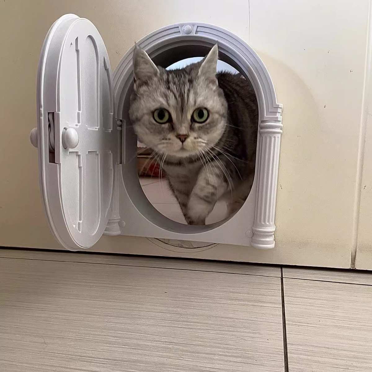 宠物自由进出入门猫门洞宠物猫咪小狗狗进出的安装木门铁门墙壁门