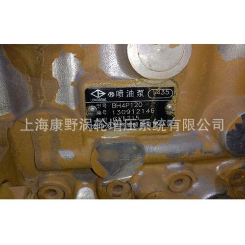 喷油泵1435 BH4P120和 S00005179 14Q8和S00010455 14KC
