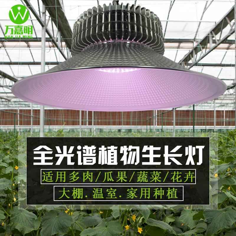 全光谱植物灯生长灯大棚种植温室工矿灯草莓火龙果绿植花卉补光灯