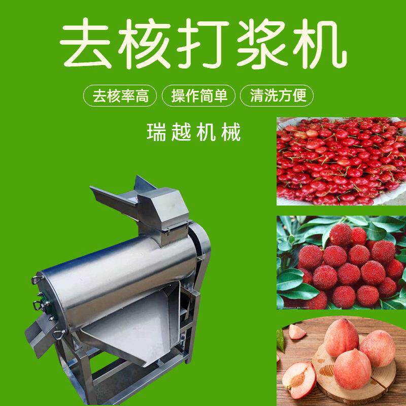 大型百香果去皮打浆机 工业猕猴桃双道打浆机 商用红枣去核打浆机