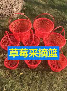 莱蓝篮子塑料一次性水果葡萄小筐子草莓框商用桑甚采摘两斤的框子