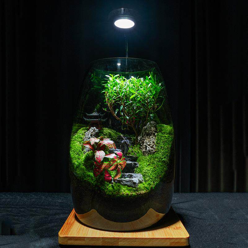 趣味生态桌面创意盆栽假山摆件苔藓办公室造景绿植盆
