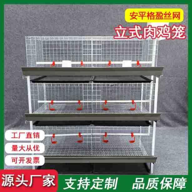 框架肉鸡笼子养殖场厂家直销鸡笼养殖场大型笼