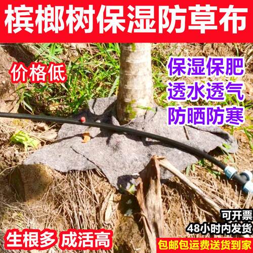 新型加厚耐用槟榔防草布保湿防晒果树包树头防草地膜防草土工布毯
