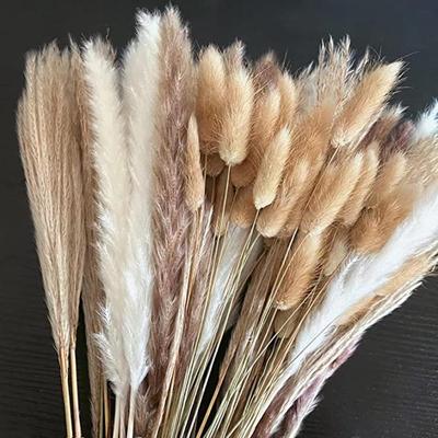 100Pcs/lot Pampas Set Decoration Fluffy Natural Living Room