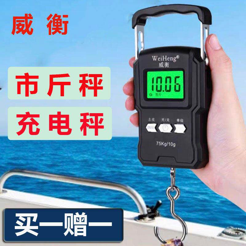威衡小型手提电子秤快递手钩秤家用高精度便携买菜防水充电小克称
