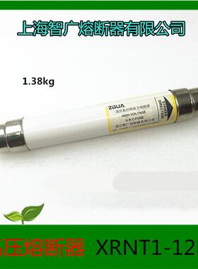 上海智广高压高分段能力熔断器XRNT1-12KV/2A-40A合金