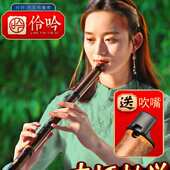 浅竺洞萧乐器初学入门正反手F紫竹短箫六古风八孔一节G调素玉箫笛