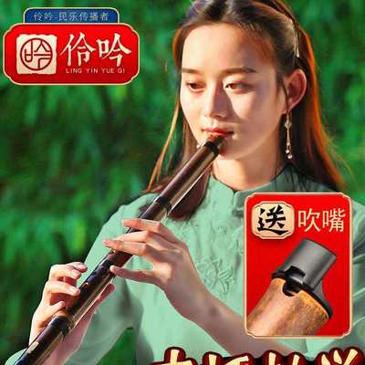 浅竺洞萧乐器初学入门正反手F紫竹短箫六古风八孔一节G调素玉箫笛