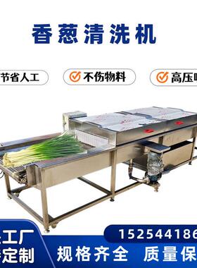 全自动香葱清洗机韭菜清洗山材清洗设备压喷淋清洗机设备