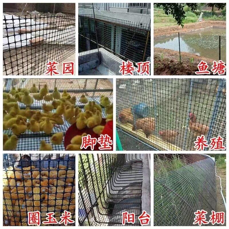 塑料围网栏网养鸡养殖果圈地护栏网大棚防护网防网鸟网圈园玉米网