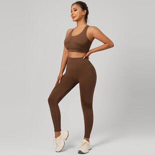 Women Waisted Seamless Sporty Leggings Pants Enthusiasts