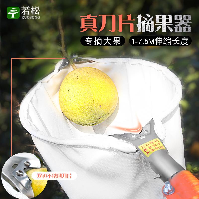 摘水果神器伸缩杆摘李子柿子枇杷果子摘果器高空采摘工具钩勾芒果