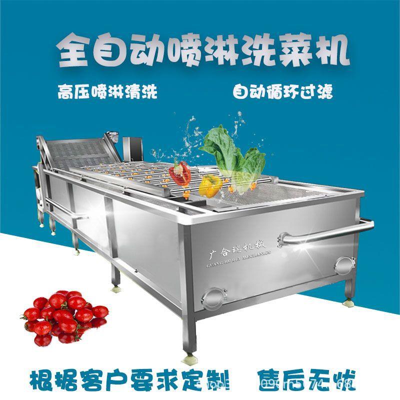 多功能辣椒果蔬气泡清洗机喷淋式全自动洗菜机净菜加工设备厂家
