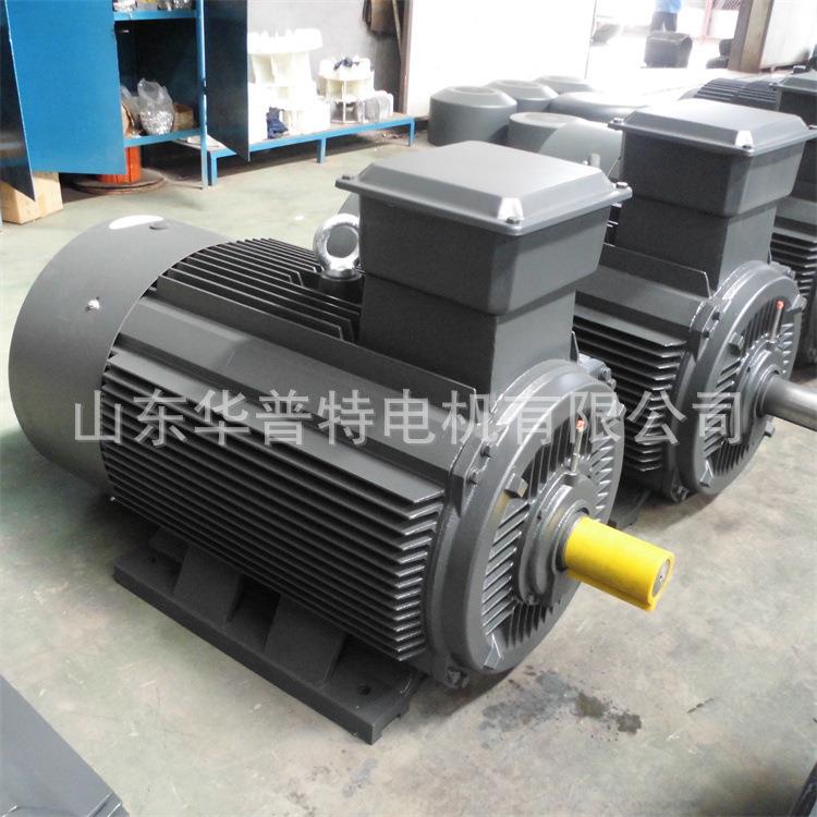双速电机YDT-315L-4/6400V110/75W三相异步1488/990转,交流