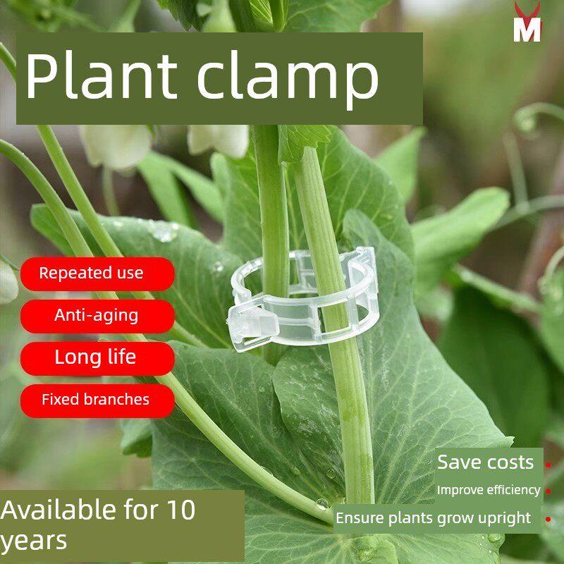 藤扣葡萄攀援藤蔬菜矫正牵引扣花盆温室蔬菜花园绿枝花园工具配件