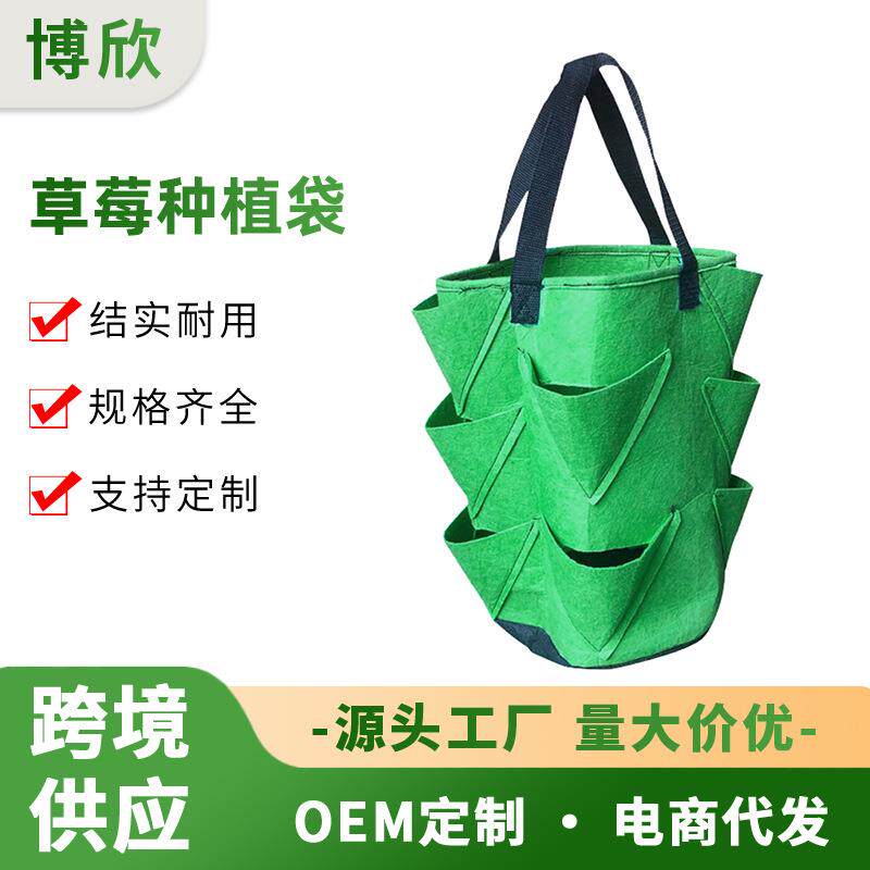 毛毡10口无纺布草莓挂袋园艺花卉植物生长袋空中3加仑种植袋盆栽