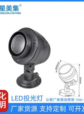 10W20W30W50W户外桥梁防水射灯照树灯强聚光射灯户外洗墙光束灯