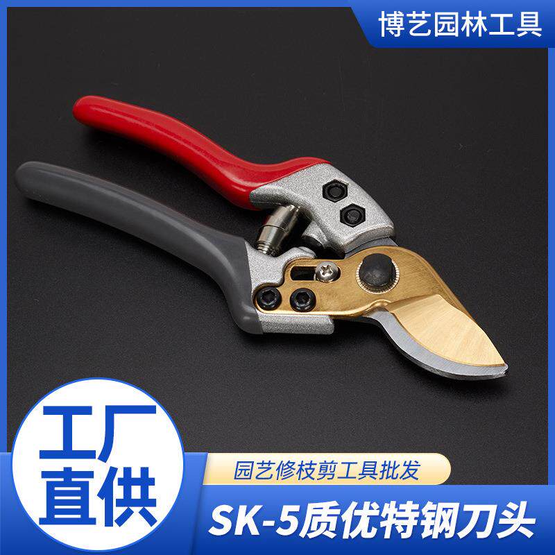 现货修枝剪刀果枝剪树剪 园林工具果树专用铝合金剪刀图片