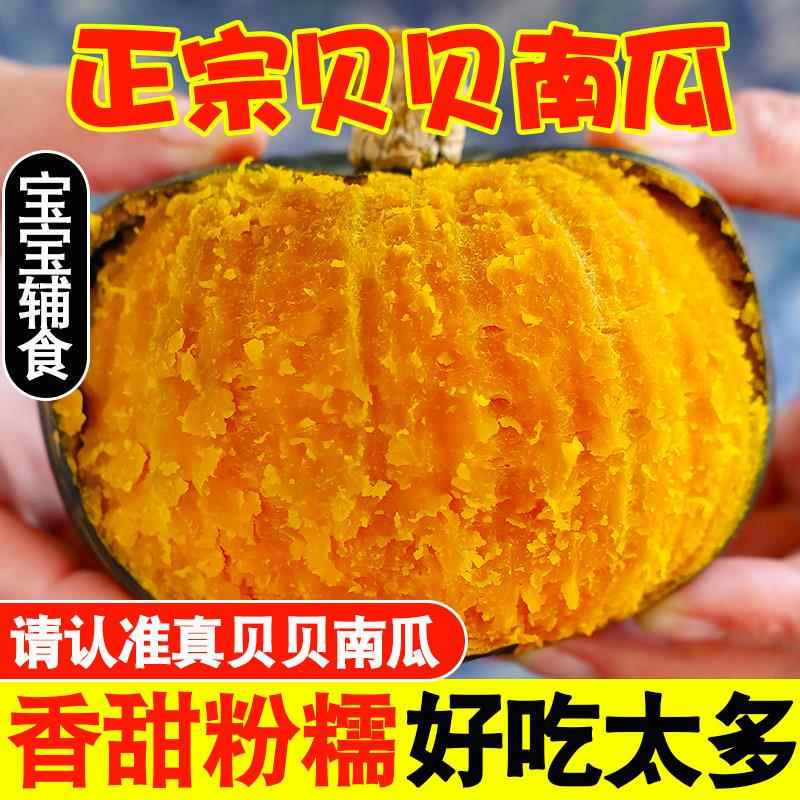 山东正宗贝贝南瓜板栗小南瓜新鲜婴儿辅食宝宝粉糯香甜蔬菜健身餐