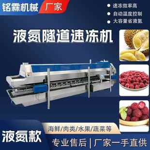 不锈钢隧自动冻榴莲速751冻设备大型冻全栗子红式 薯液氮道速冻机