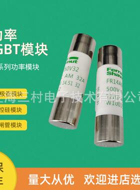全新熔断器保险丝FR14GR69V6/A1017198FR14GR69V8/B1017199全新