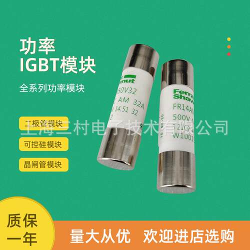 全新熔断器保险丝FR14GR69V6/A1017198FR14GR69V8/B1017199全新