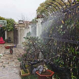 阳台盆节栽向围挡庭院花园BAS花草灌溉喷洒万调喷自头动浇花定时