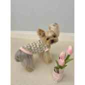 小甜粥宠物衣服针织弹力秋冬背心马尔济斯约克夏宠物衣服AI