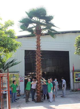 厂家直供仿真棕榈树室内外热带观景树场景观仿真棕榈树加工定 制