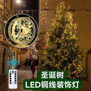 饰灯 遥控圣诞树绿线led铜线灯串满天星绿植藤条挂树上户外节日装