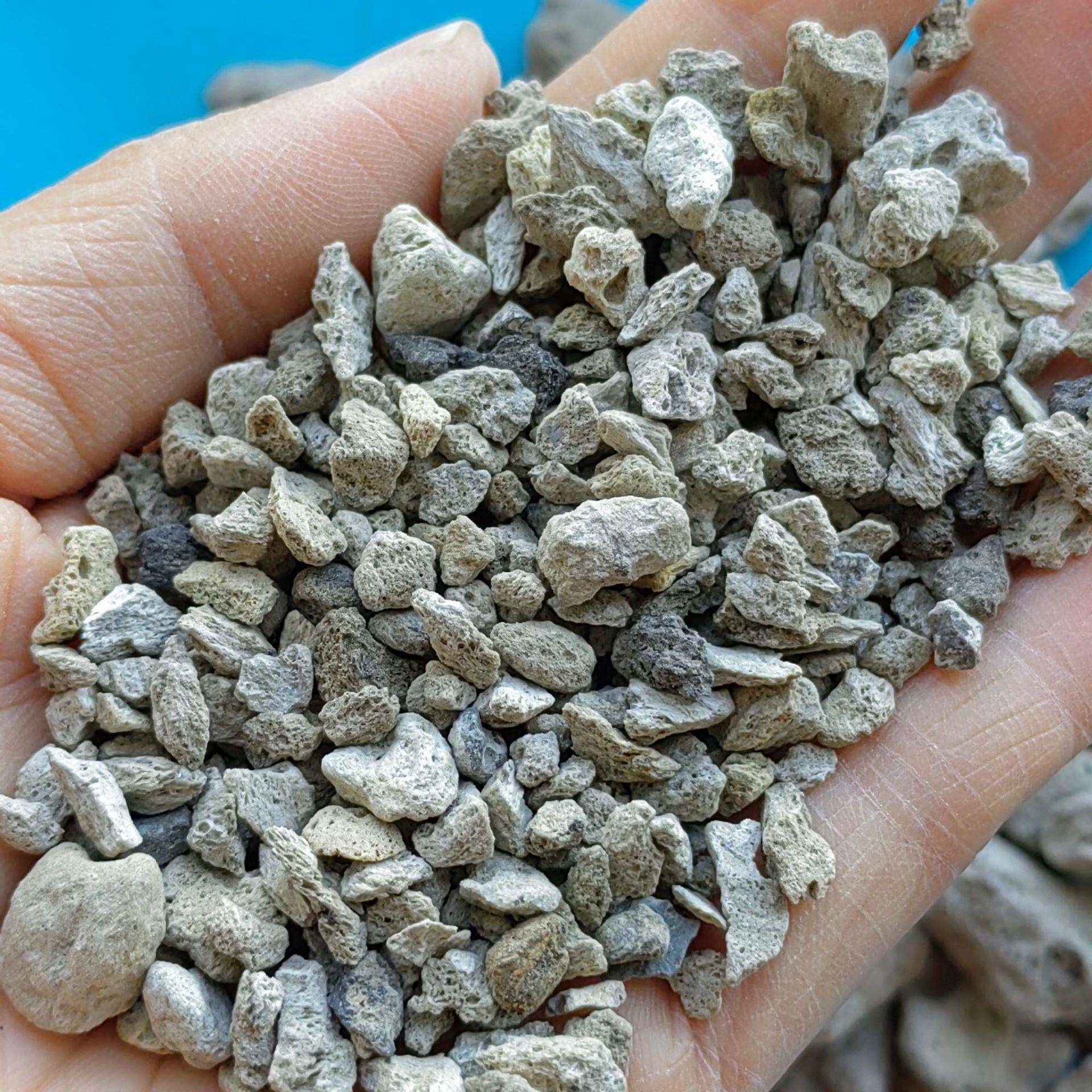 厂家供应轻石多肉兰花基质用轻石大块浮石微景观装饰轻石颗粒