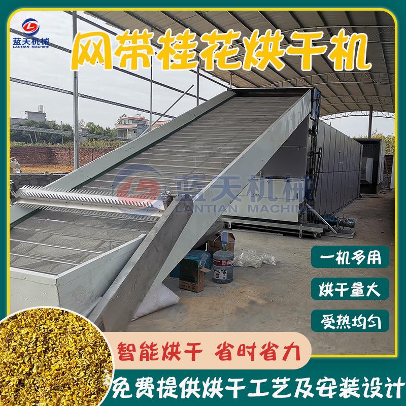 桂花烘干机广西鲜木樨九里香银桂烧颗粒烘干设备桂花网带烘干机