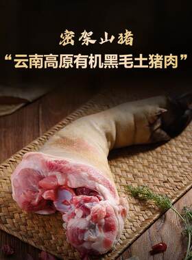 云南密架山猪高原有机黑毛土猪肉新鲜猪蹄肘子猪爪猪手猪脚