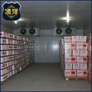 厂家生产食品微型冷库车载冷库药品冷藏库品质保障