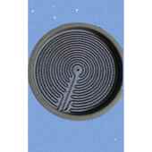 黑晶炉光波炉发热盘23cm2600w 3000两插四芯背线接口加热丝发热盘