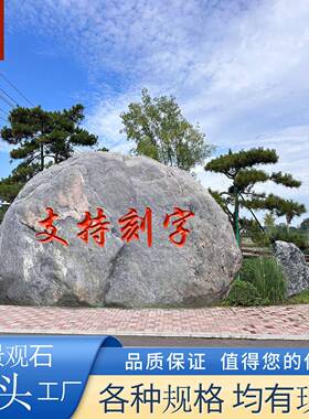 天然泰山石原石大型景观石头庭院观赏石企业门牌石户外靠山石奇石