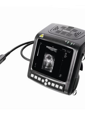 凯信 KX5200V 兽用B超 猪牛羊用B超机 兽用测孕B超器