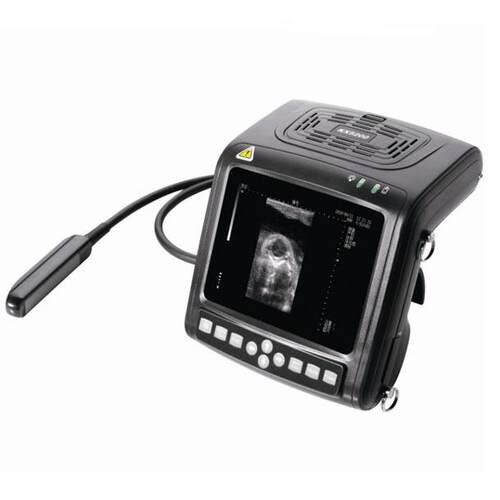 凯信 KX5200V 兽用B超 猪牛羊用B超机 兽用测孕B超器