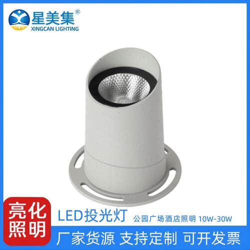 10W20W30W户外光束灯酒店外墙投光灯LED聚光灯景观亮化射灯